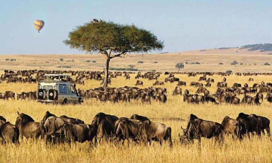 Exploring the Wonders of Narok: Top Tour Places to Visit
